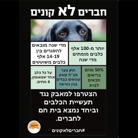 אחת הכרזות שהפקיו התלמידים והוצה באינטרנט